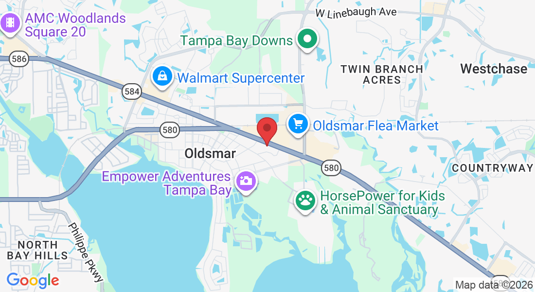 4022 Tampa Rd #4, Oldsmar, FL 34677, USA