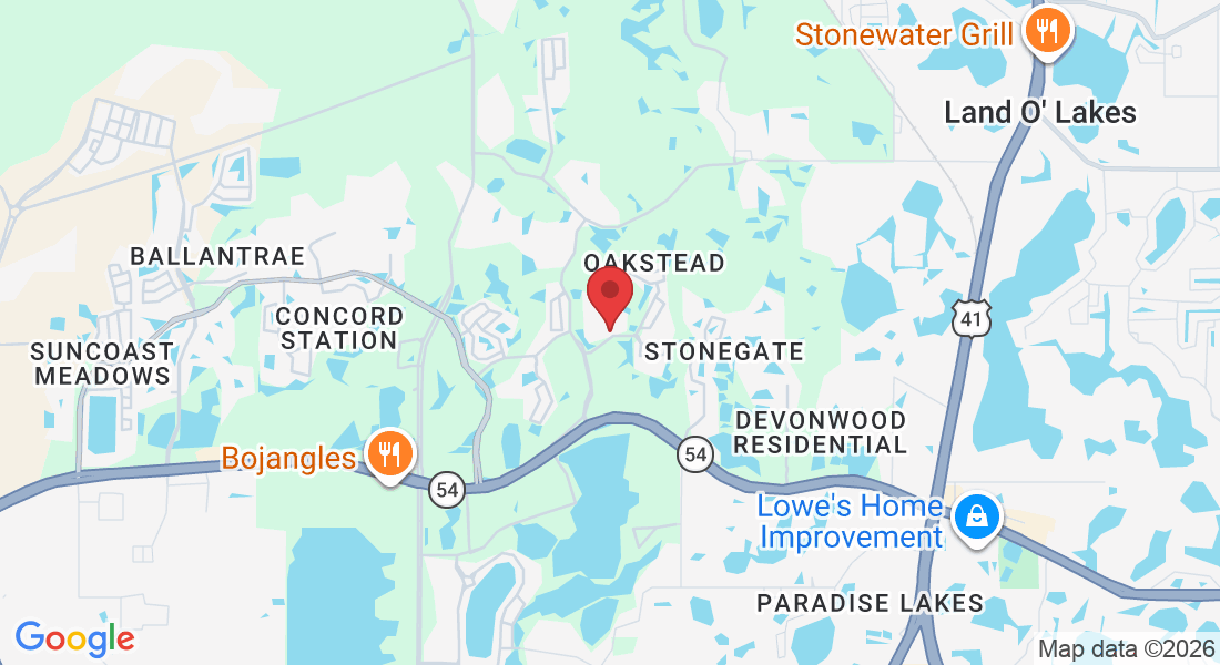19626 Bellehurst Loop, Land O' Lakes, FL 34638, EUA