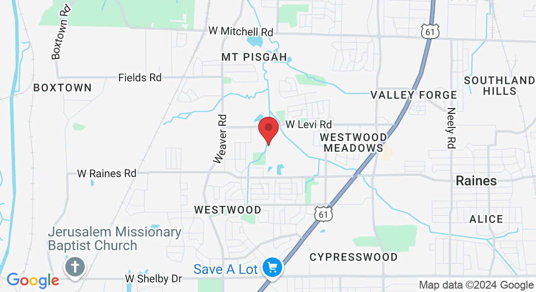 728 Soapstone Cove, Memphis, TN 38109, USA
