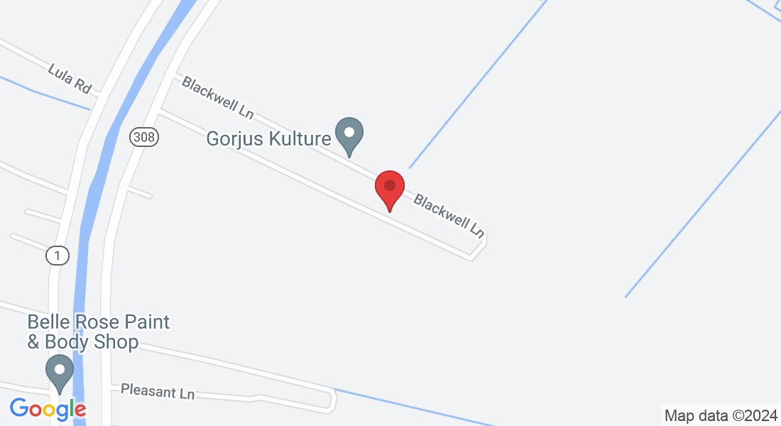 195 Grisaffi Ln, Belle Rose, LA 70341, USA