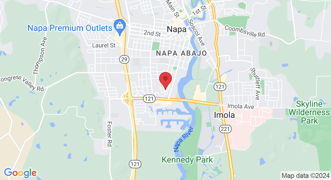 91 Cesta St, Napa, CA 94559, USA