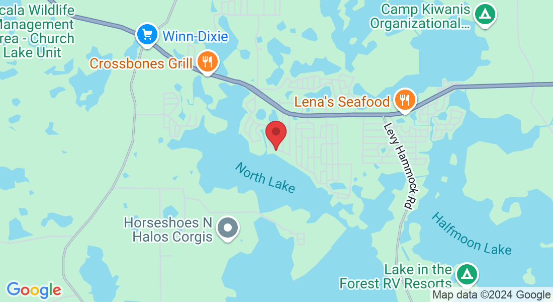 17160 SE 21st Place Rd, Silver Springs, FL 34488, USA