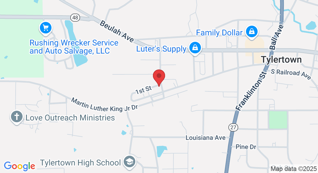 207 Martin Luther King Jr Dr, Tylertown, MS 39667, USA