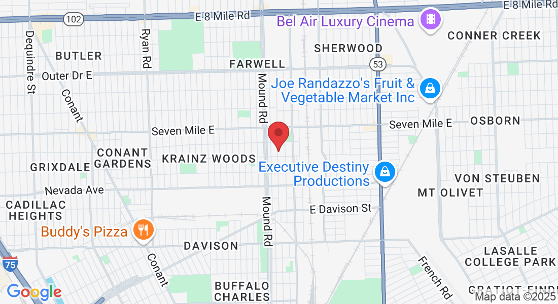 18632 Dwyer St, Detroit, MI 48234, USA