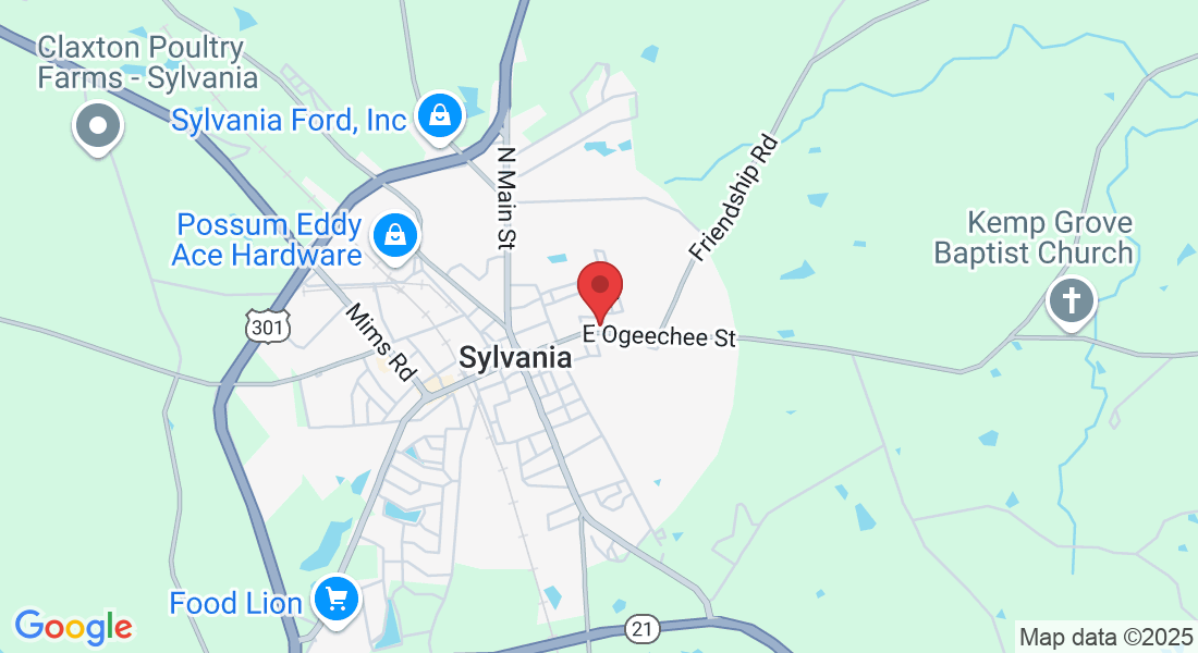304 Robbins St, Sylvania, GA 30467, USA