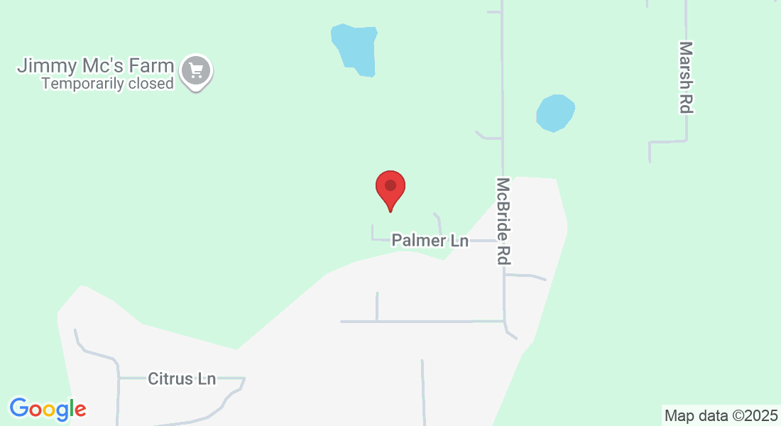 17535 Palmer Ln, Spring Hill, FL 34610, USA