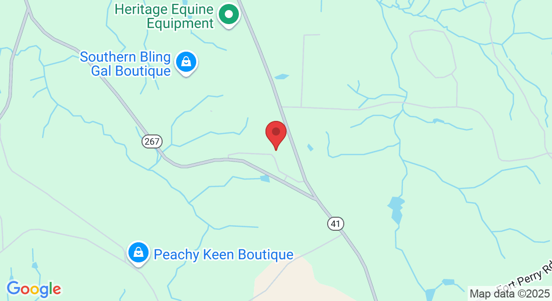 232 Sunnyside Dr, Box Springs, GA 31801, USA