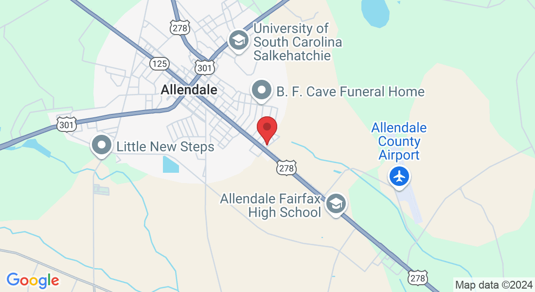 197 Ozzie St, Allendale, SC 29810, USA
