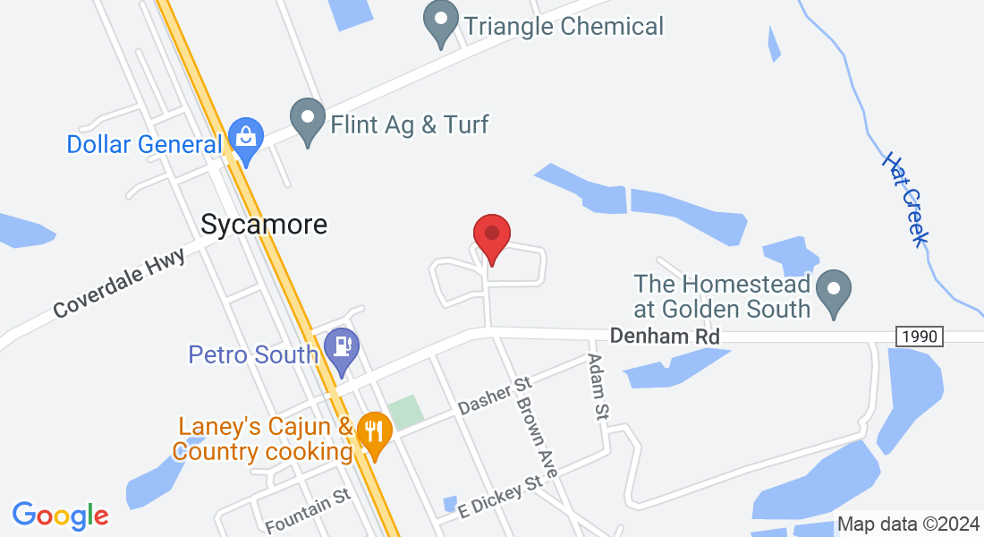 38 Crepe Myrtle Dr, Sycamore, GA 31790, USA