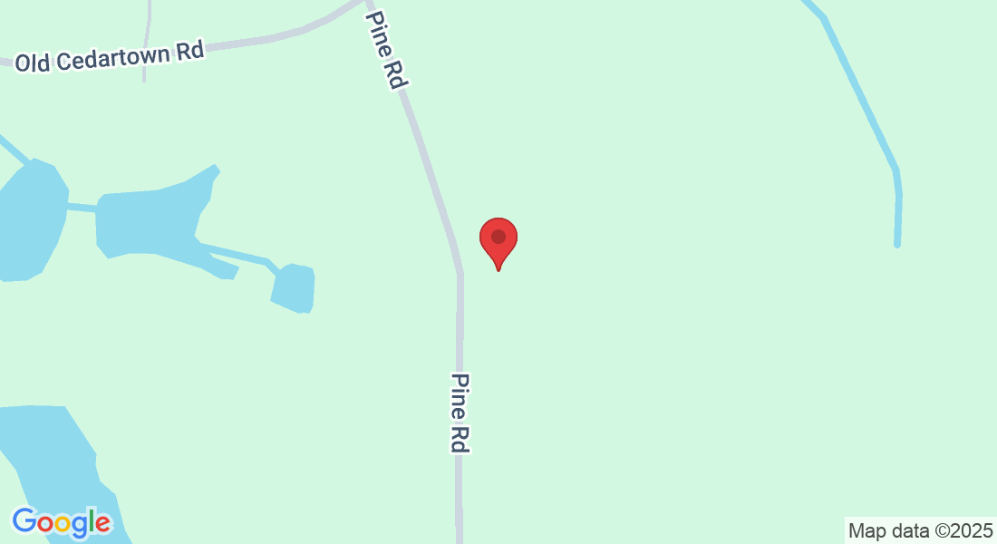 103 Pine Rd, Rockmart, GA 30153, USA