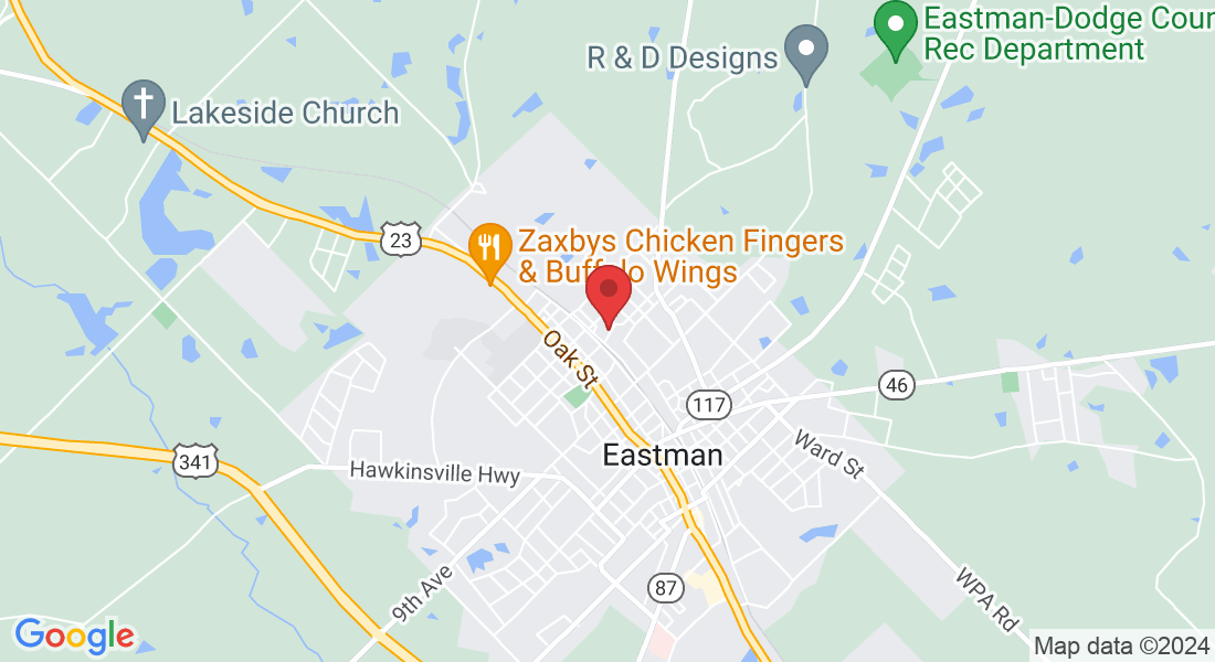 5307 Lee Ave, Eastman, GA 31023, USA