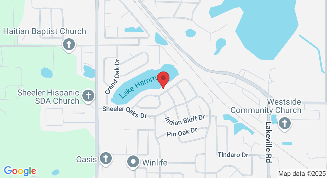 1199 Saddleback Ridge Rd, Apopka, FL 32703, USA