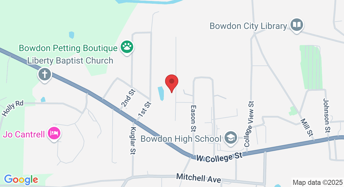 312 Angela Ave, Bowdon, GA 30108, USA