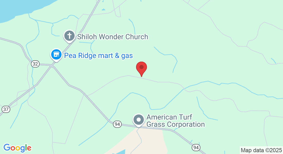 1133 Jones White Rd, Roper, NC 27970, USA