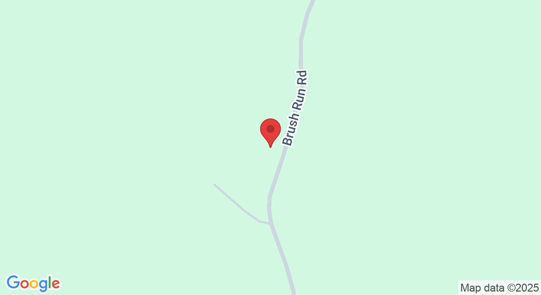 283 Brush Run Rd, Orlando, WV 26412, USA