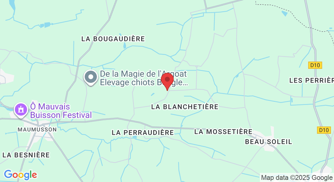 20 La Prise, 44370 Loireauxence, France