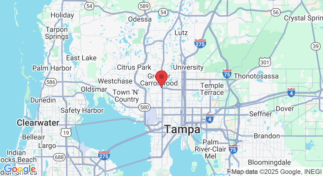 3750 Gunn Hwy suite 306, Tampa, FL 33618, USA