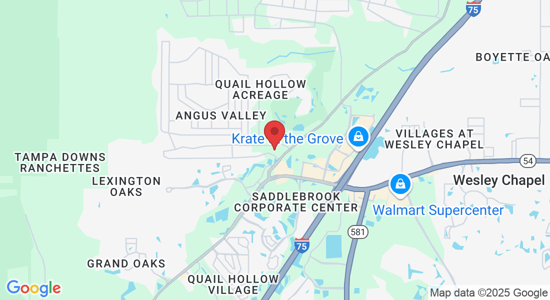 27221 Foamflower Blvd, Wesley Chapel, FL 33544, USA
