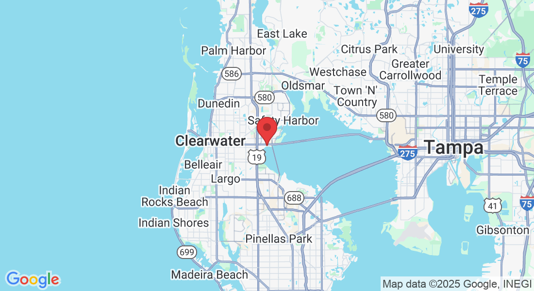 2909 Gulf to Bay Blvd, Clearwater, FL 33759, USA