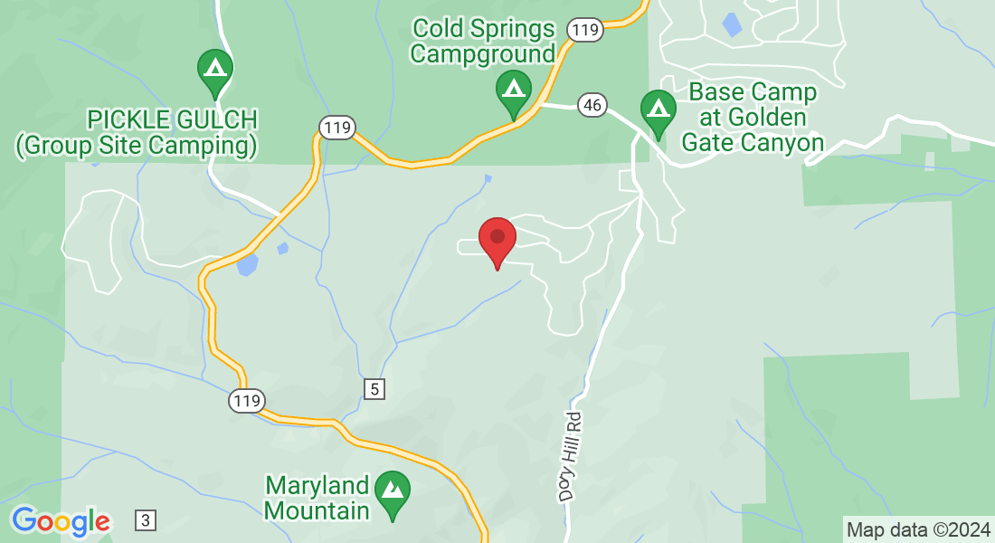 1447 Coyote Cir, Black Hawk, CO 80422, USA