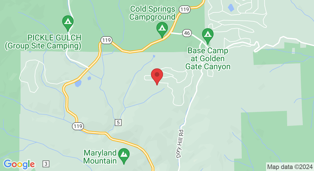 1447 Coyote Cir, Black Hawk, CO 80422, USA