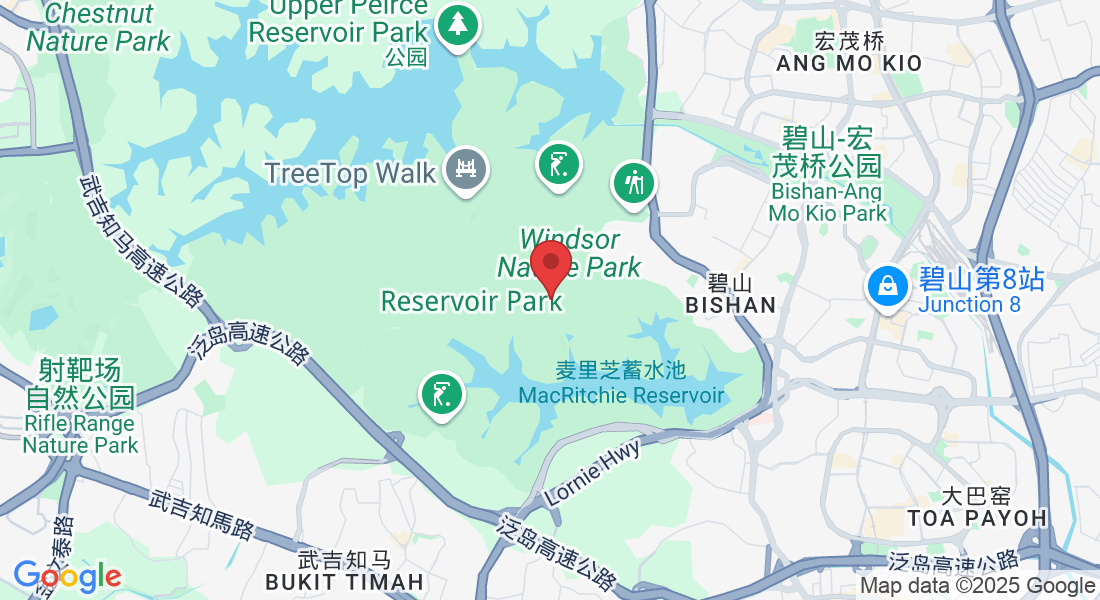 新加坡