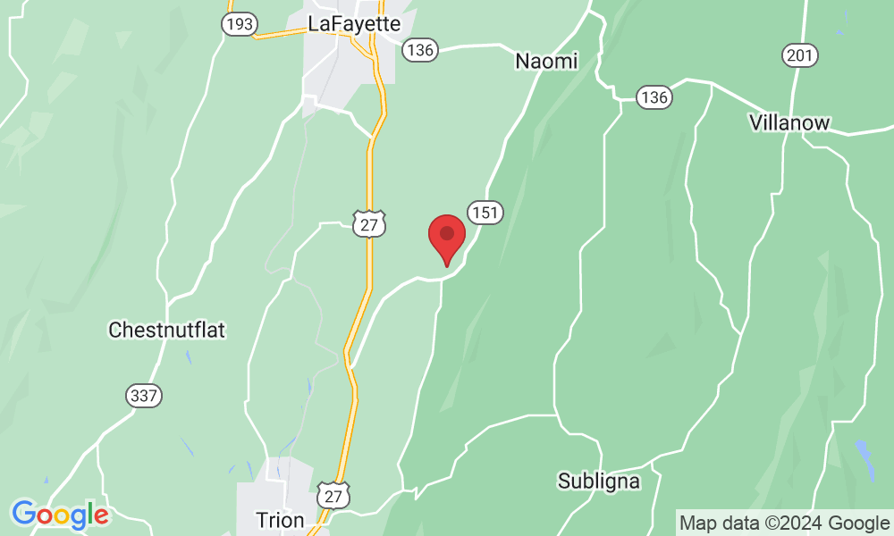 11228 GA-151, Trion, GA 30753, USA