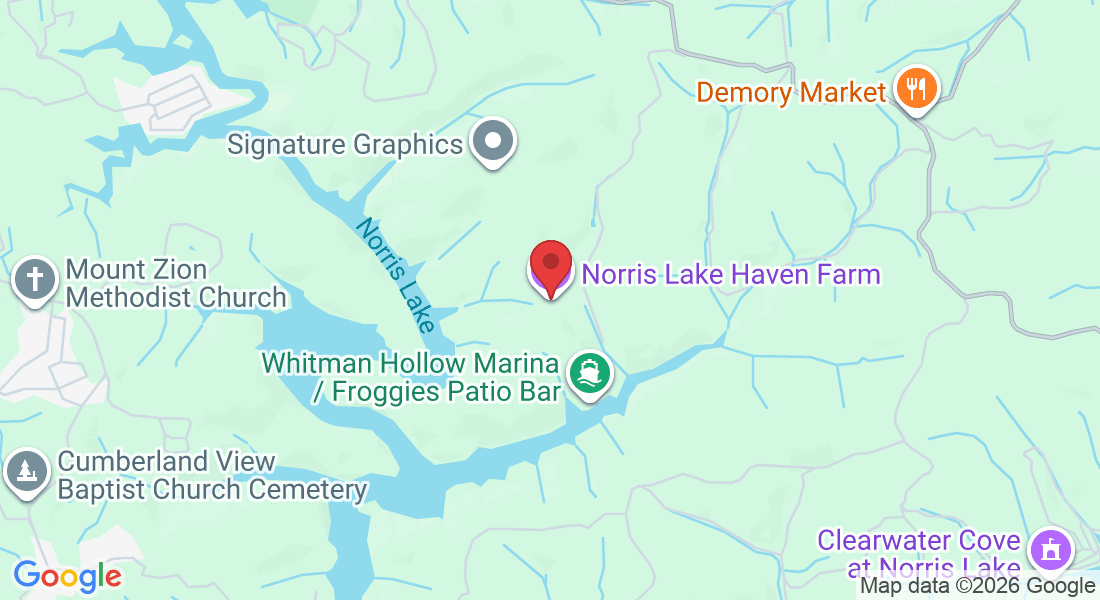 185 Stevens Ln, LaFollette, TN 37766, EE. UU.