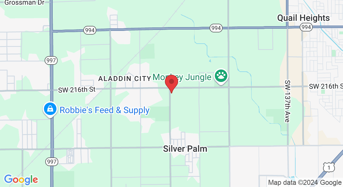 21745 SW 157th Ave, Miami, FL 33170, USA