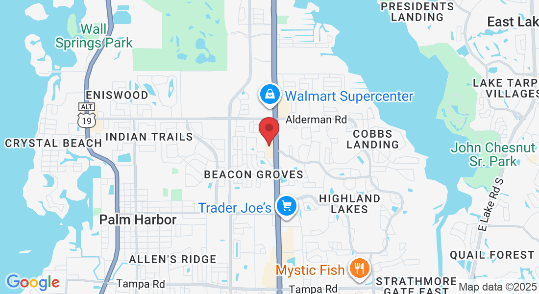 34930 US Hwy 19 N, Palm Harbor, FL 34684, USA