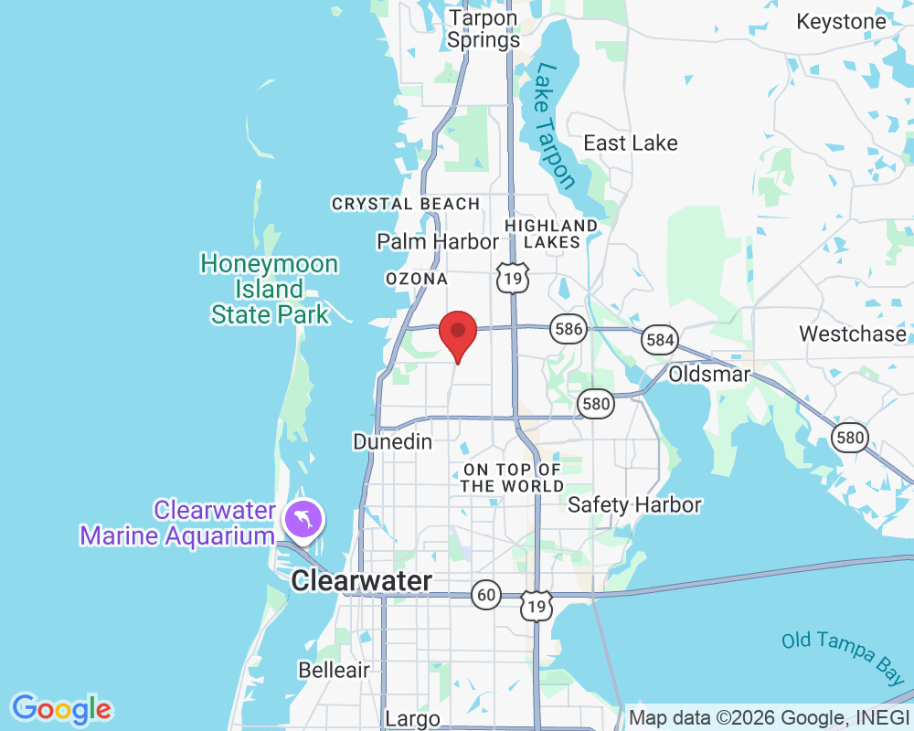 2087 Hunters Glen Dr, Dunedin, FL 34698, USA