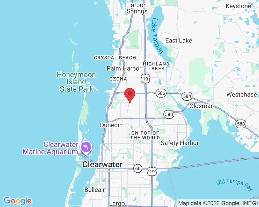 2087 Hunters Glen Dr, Dunedin, FL 34698, USA