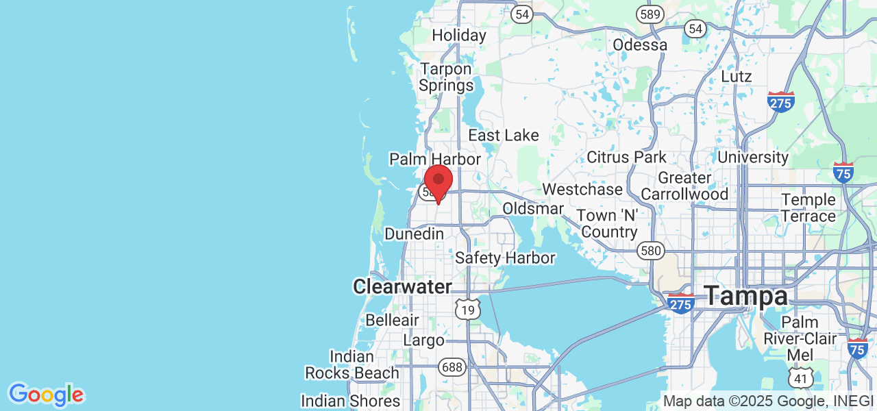 2087 Hunters Glen Dr Unit 108, Dunedin, FL 34698, USA