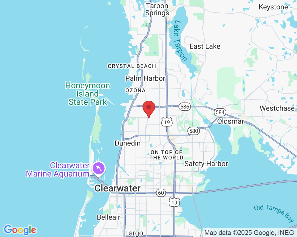 2087 Hunters Glen Dr, Dunedin, FL 34698, USA