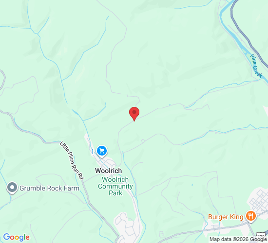 386 Dutch Hollow Rd, Jersey Shore, PA 17740, EUA