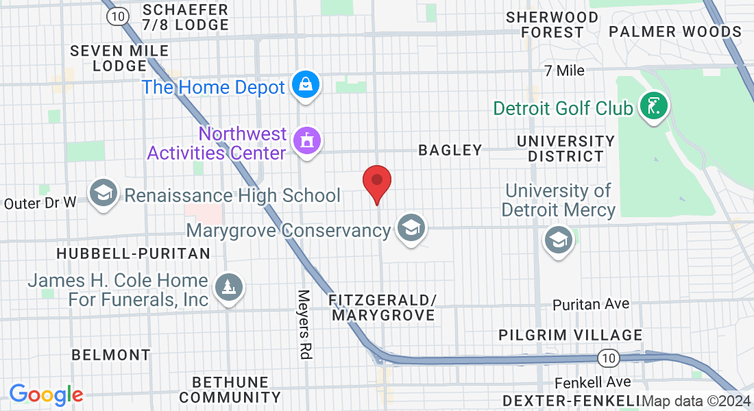 17319 Wyoming Ave, Detroit, MI 48221, USA