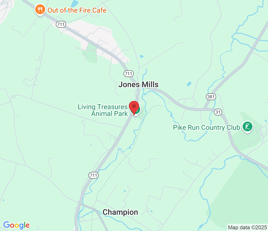 288 PA-711, Jones Mills, PA 15646, USA
