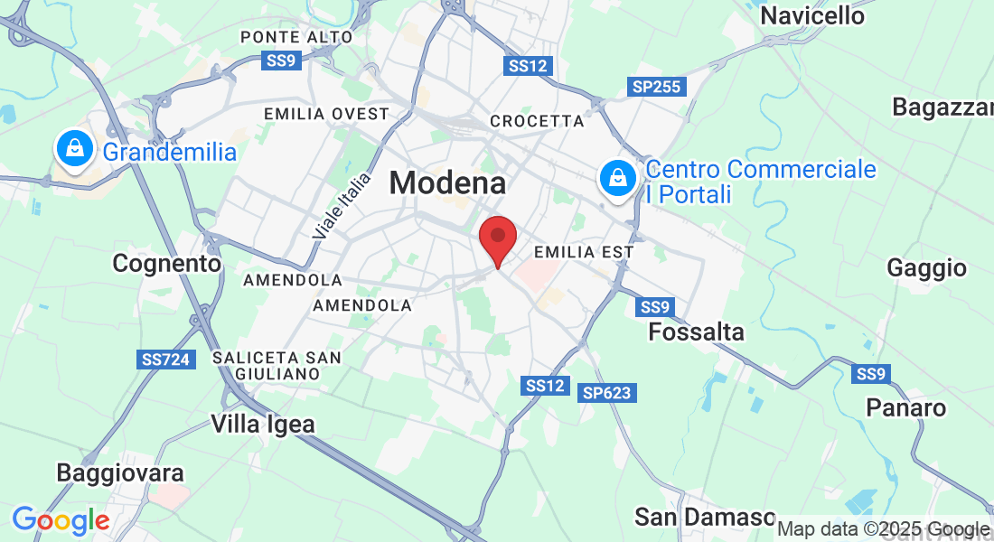 Via Vignolese, 290, 41124 Modena MO, Italia