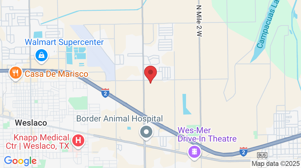 507 Cove Lane, Weslaco, TX 78596, USA