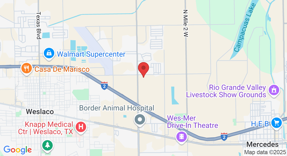 507 Cove Lane, Weslaco, TX 78596, USA