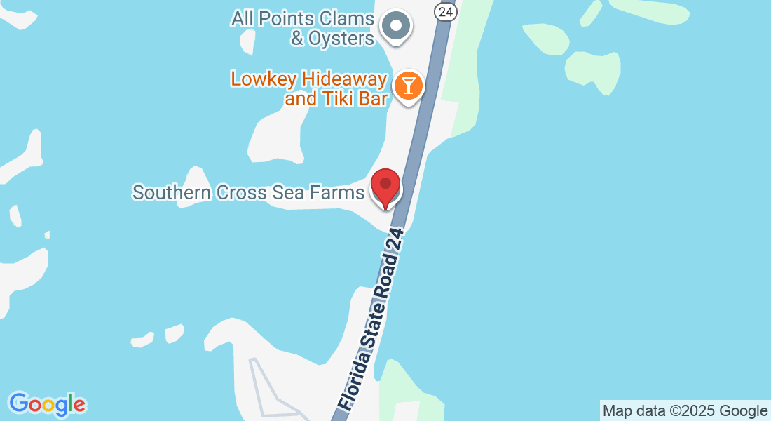 12170 FL-24, Cedar Key, FL 32625, USA