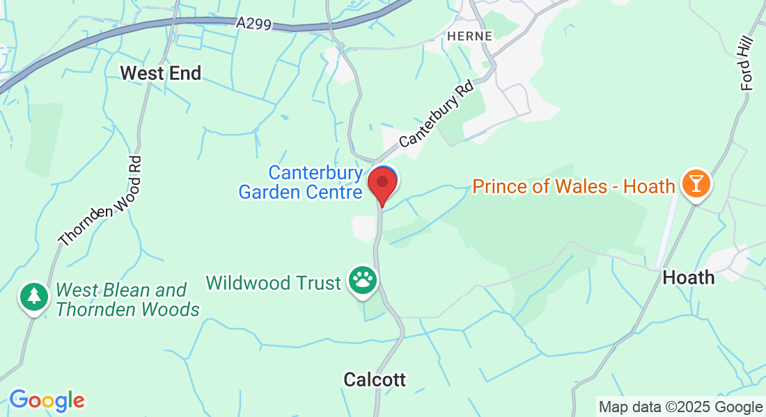 Canterbury, Garden Centre, Canterbury Rd, Herne Common, Herne Bay CT6 7LJ, UK