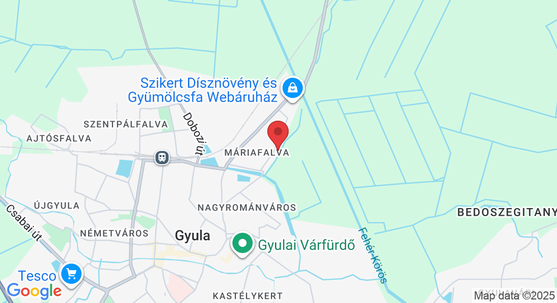 Gyula, Kölcsey u. 19, 5700 Magyarország