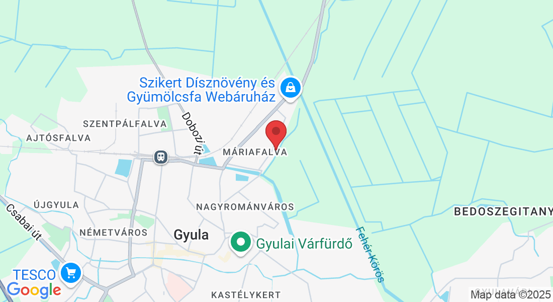 Gyula, Kölcsey u. 19, 5700 Magyarország