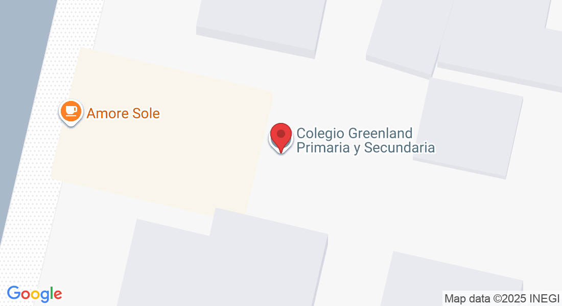 Amores 1648, Col del Valle Sur, Benito Juárez, 03100 Ciudad de México, CDMX, México