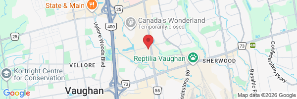 100 Auto Vaughan Dr, Maple, ON L6A 4A1, Canada