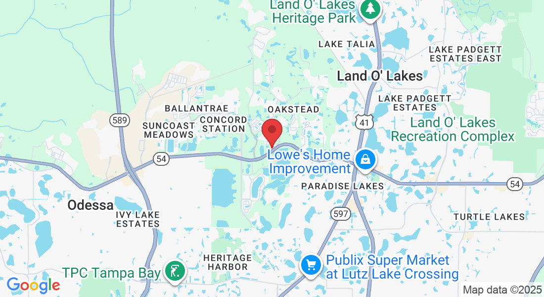 19409 Shumard Oak Dr #102, Land O' Lakes, FL 34638, USA