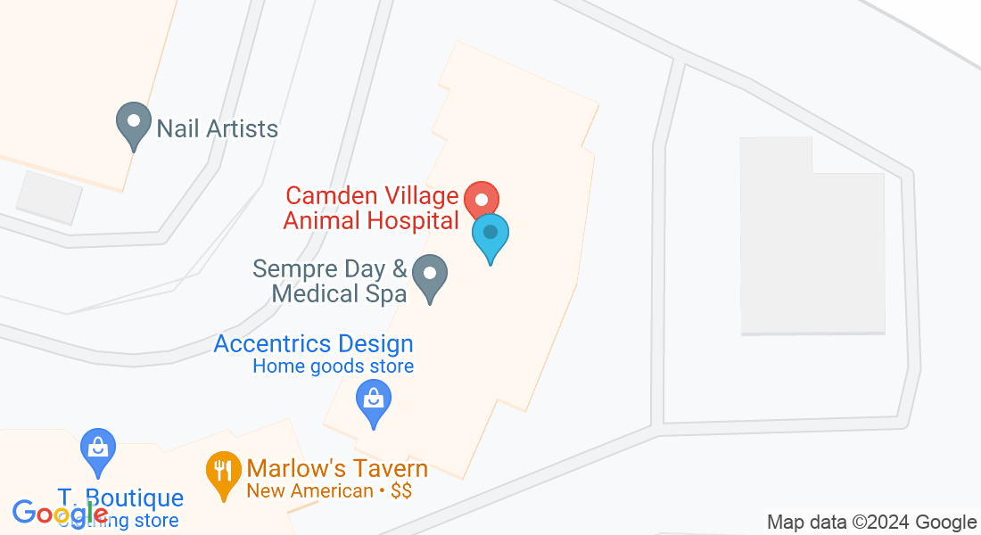 3719 Old Alabama Rd ste 400 a, Alpharetta, GA 30022, USA