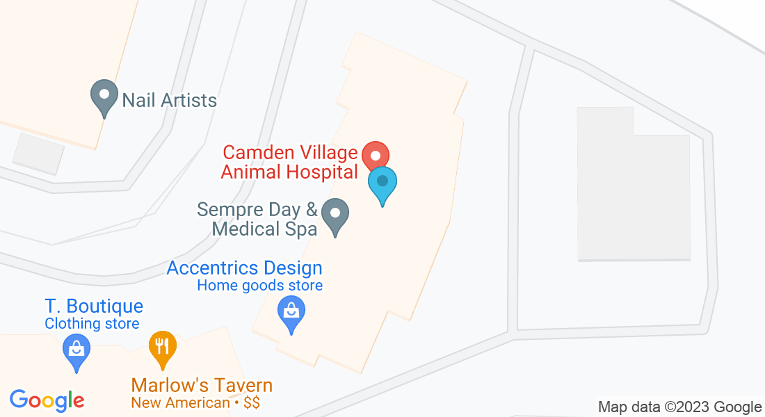 3719 Old Alabama Rd ste 400 a, Alpharetta, GA 30022, USA