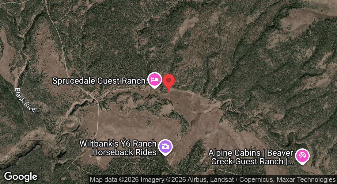 1884 Wiltbank Rd, Alpine, AZ 85204, USA